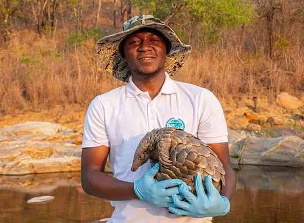 Crise global da biodiversidade: lista revela 10 espécies no limite da sobrevivência para observar em 2026