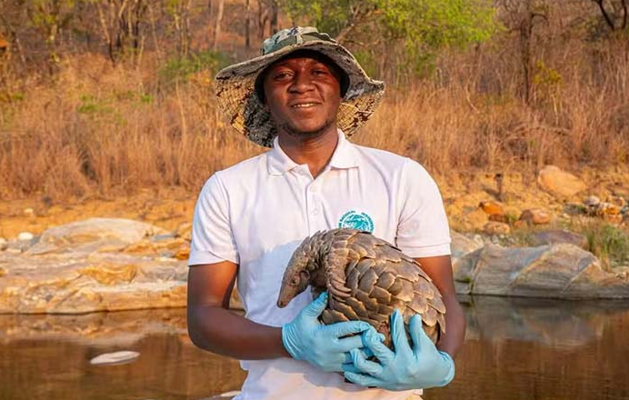 Crise global da biodiversidade: lista revela 10 espécies no limite da sobrevivência para observar em 2026