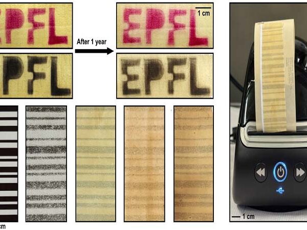 Papel térmico de nota fiscal feito de madeira elimina contaminantes perigosos