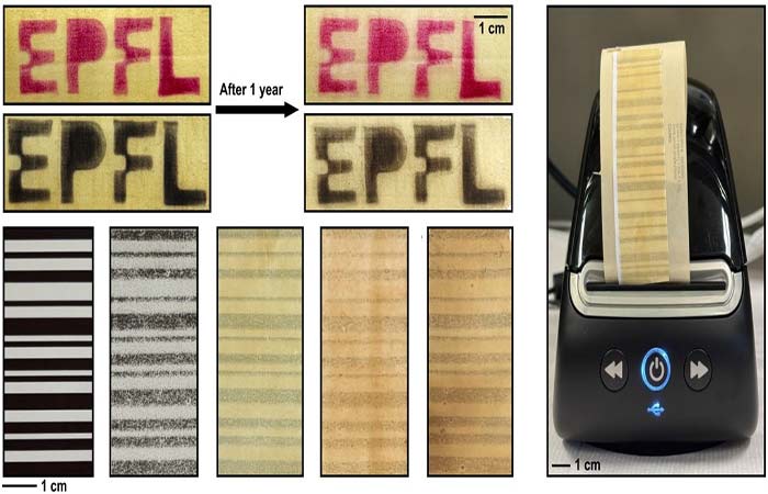 Papel térmico de nota fiscal feito de madeira elimina contaminantes perigosos