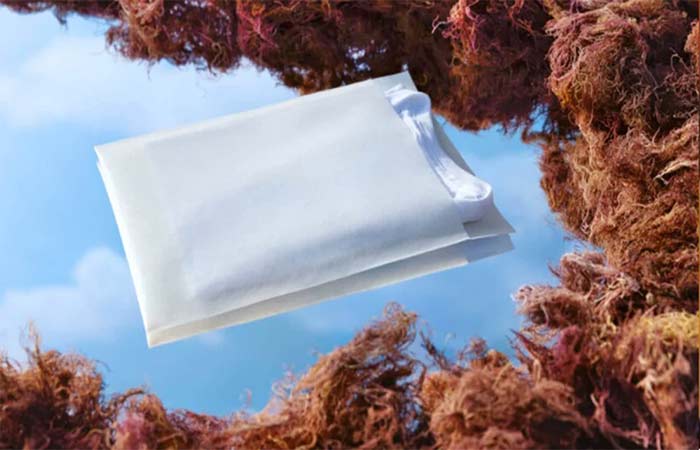 Sacolas de algas marinhas surgem como alternativa ao plástico