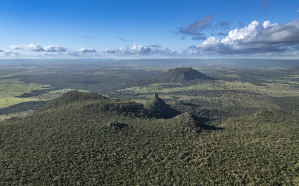 Caminhos das Nascentes: conheça o projeto que recupera nossas águas