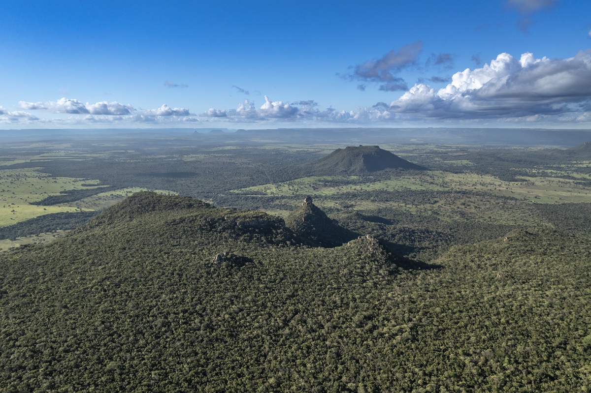 Caminhos das Nascentes: conheça o projeto que recupera nossas águas