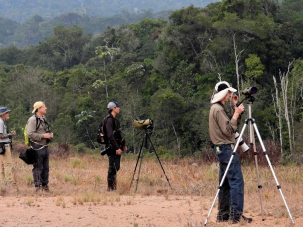 Indígenas Ingarikó produzem roteiro de observação de aves na Raposa Serra do Sol, em Roraima