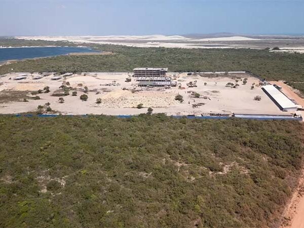 Ceará lidera o desmatamento de restinga na Mata Atlântica