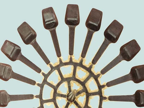 Madeiras, frutas e legumes formam os novos plásticos