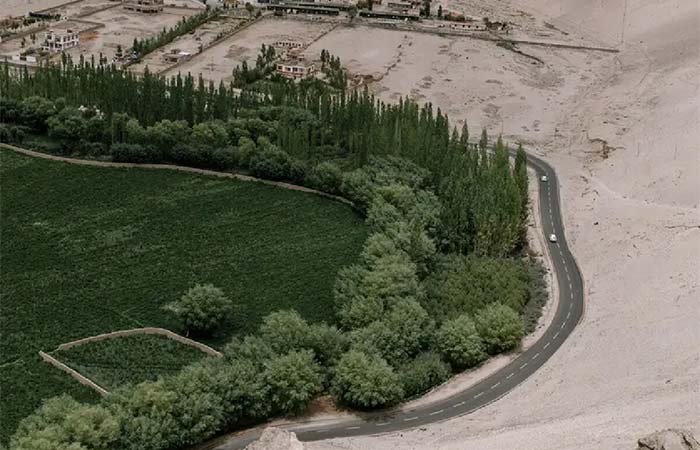 A China plantou milhões de árvores para frear o deserto, mas cometeu um erro de cálculo: a floresta começou a ‘beber’ a água das pessoas