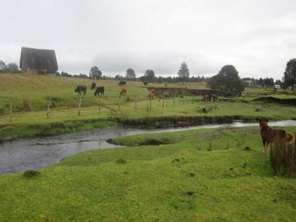 Estudo questiona datação de um dos sítios indígenas mais antigos da América do Sul