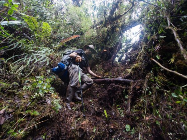 A pé pelo mundo perdido do Peru