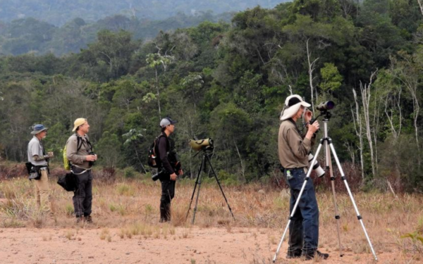Indígenas Ingarikó produzem roteiro de observação de aves na Raposa Serra do Sol, em Roraima