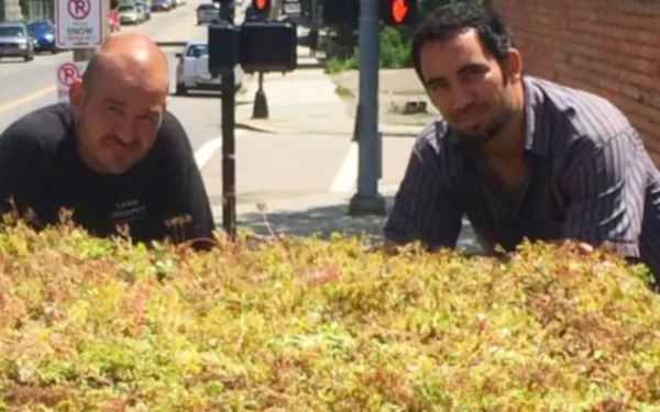 Boston transforma pontos de ônibus em escudos vivos contra o calor mortal.