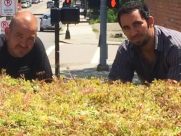 Boston transforma pontos de ônibus em escudos vivos contra o calor mortal.