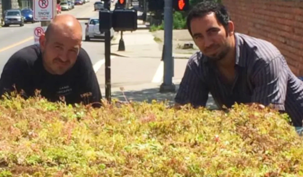 Boston transforma pontos de ônibus em escudos vivos contra o calor mortal.