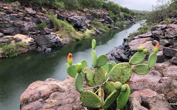 Milagre arrebatador da natureza, Cânion do Poti vive desafios