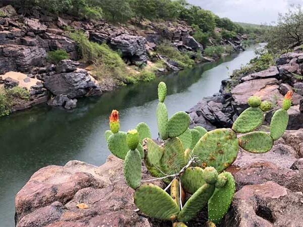 Milagre arrebatador da natureza, Cânion do Poti vive desafios
