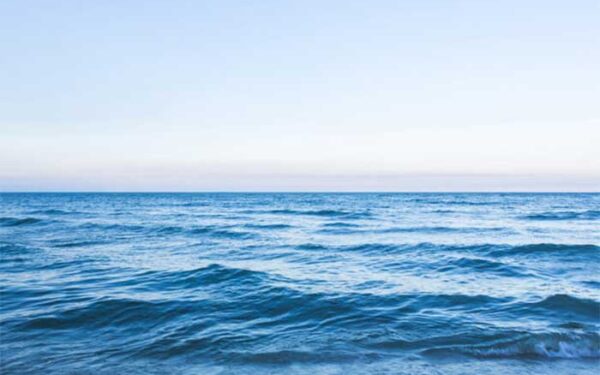 De inseticida a remédio, poluentes sintéticos contaminam praticamente todo o oceano