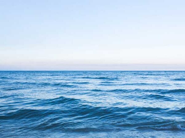 De inseticida a remédio, poluentes sintéticos contaminam praticamente todo o oceano