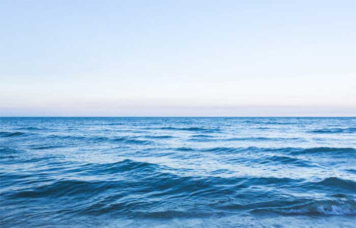 De inseticida a remédio, poluentes sintéticos contaminam praticamente todo o oceano