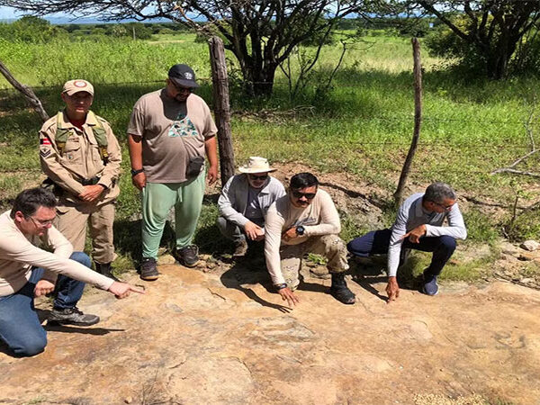 Maior pegada de dinossauro no Brasil é descoberta na Paraíba, aponta pesquisa