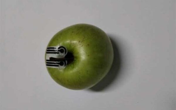Sensores biodegradáveis acoplados em plantas detectam pesticidas em três minutos