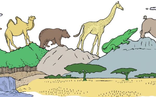 As deficiências da biodiversidade