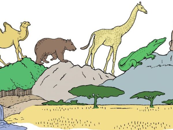 As deficiências da biodiversidade
