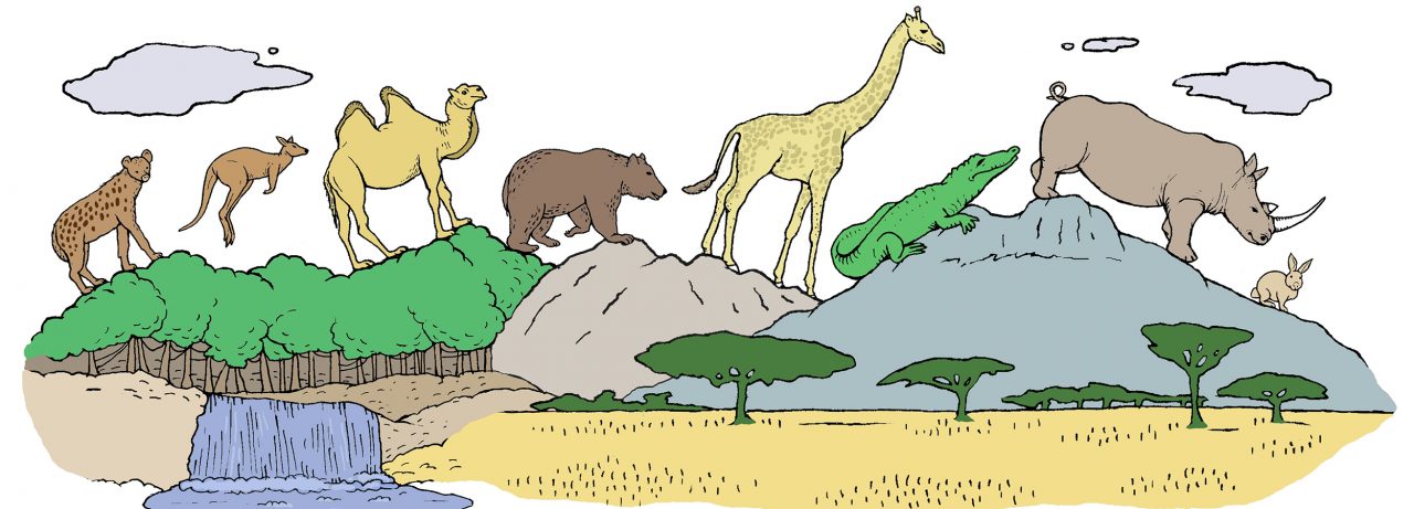 As deficiências da biodiversidade