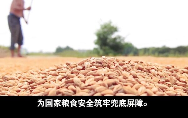 “Sonhos se tornam realidade!” O ar se transforma em alimento!