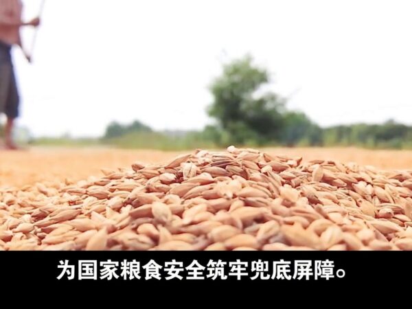 “Sonhos se tornam realidade!” O ar se transforma em alimento!