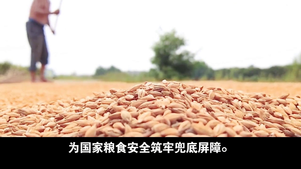 “Sonhos se tornam realidade!” O ar se transforma em alimento!
