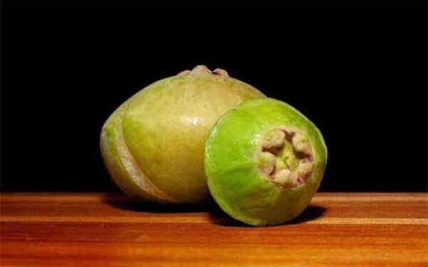 Fruta brasileira quase esquecida ajuda a combater inflamações e proteger o organismo