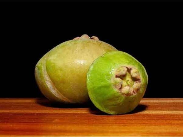 Fruta brasileira quase esquecida ajuda a combater inflamações e proteger o organismo