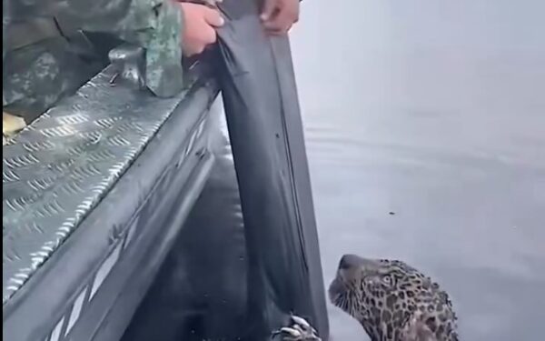 Quando você percebe que ainda há esperança no mundo