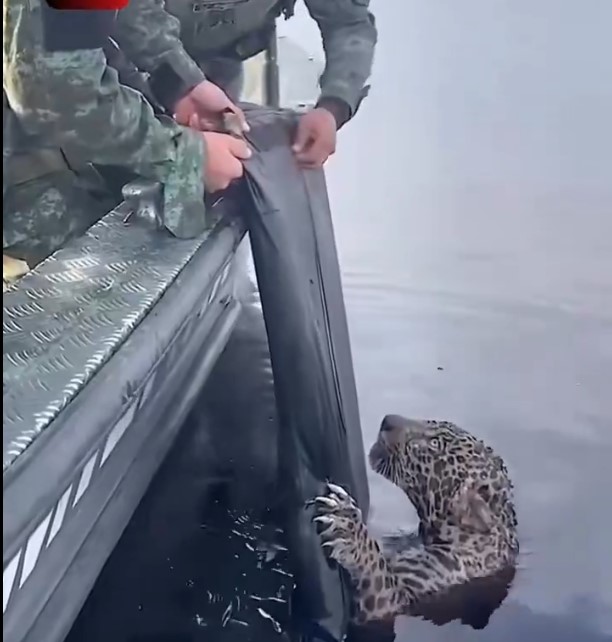 Quando você percebe que ainda há esperança no mundo