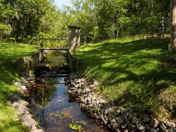 Projeto Microbacias impulsiona metas de água da Suzano