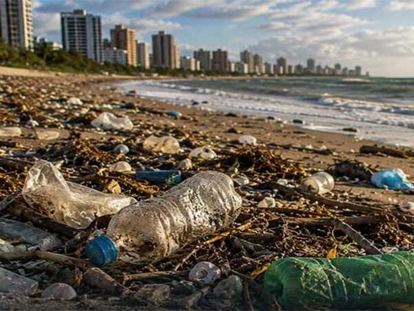 Cerca de 80% dos resíduos encontrados nos oceanos têm origem nas cidades