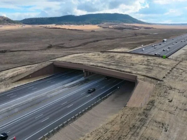 Maior passagem de fauna da América do Norte é inaugurada