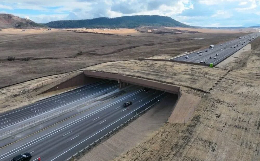Maior passagem de fauna da América do Norte é inaugurada