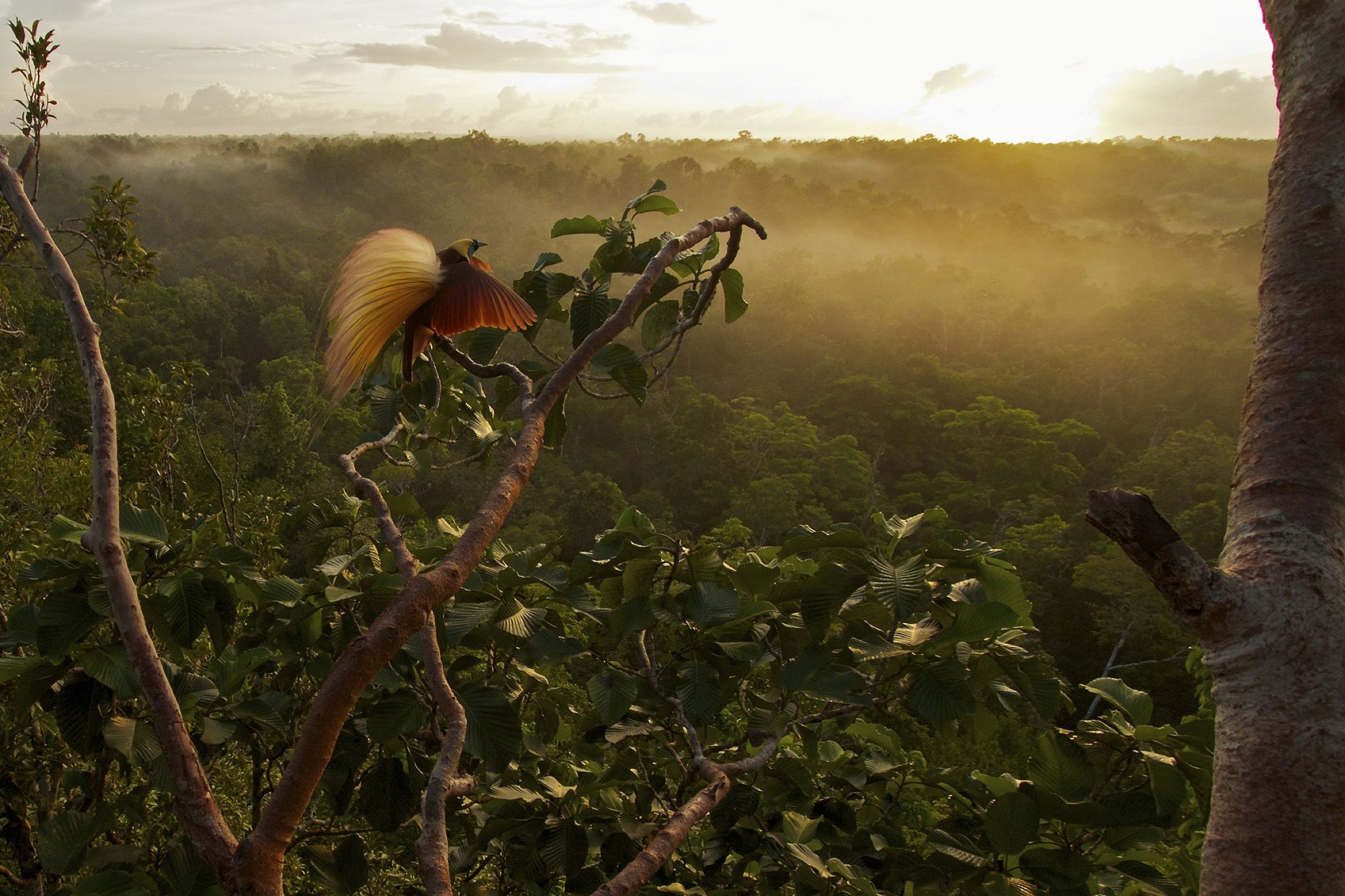 Exibição do amanhecer