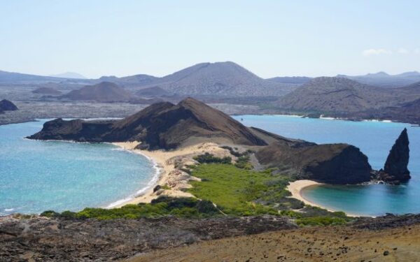Polvo azul encantou cientistas. Está de regresso às Galápagos