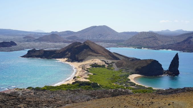 Polvo azul encantou cientistas. Está de regresso às Galápagos