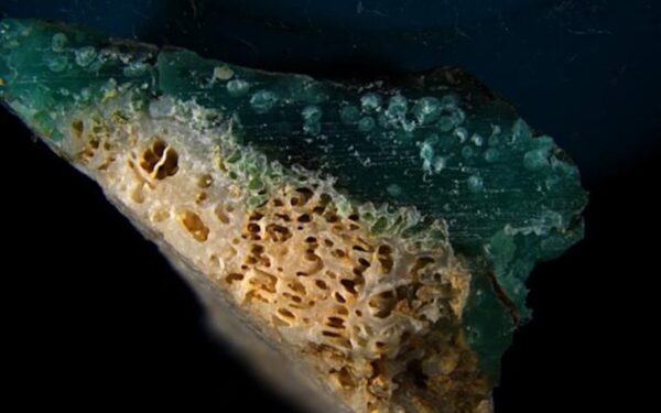 Cientistas descobriram um novo tipo de poluição: “plasticoral”