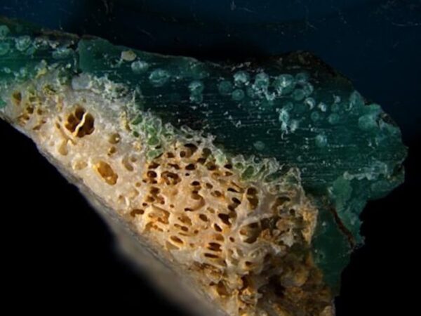 Cientistas descobriram um novo tipo de poluição: “plasticoral”