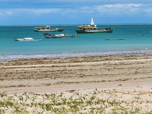 Pesca e Aquicultura na Paraíba: A Força da Tradição Diante dos Desafios do Desenvolvimento